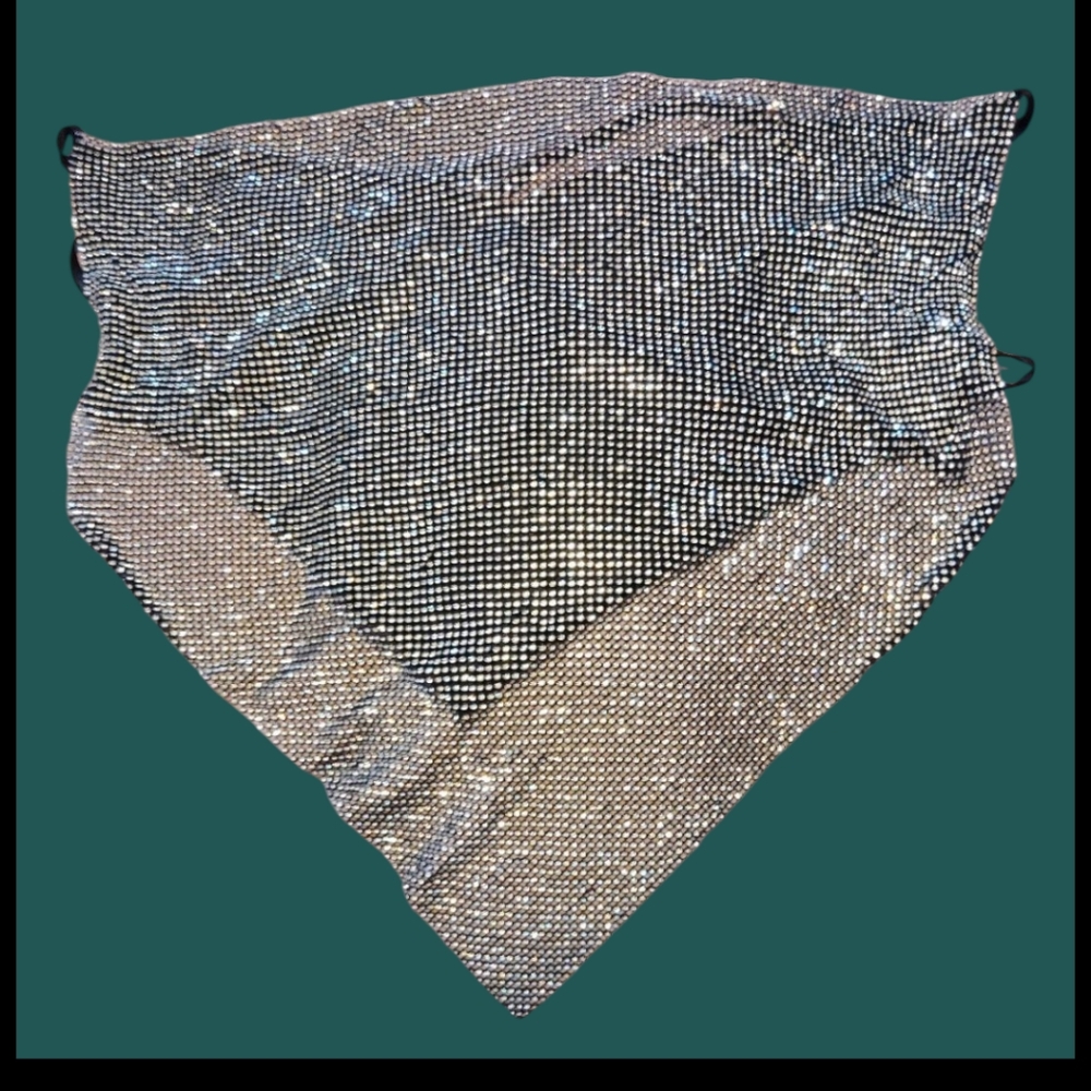 BRAND NEW NEVER USED Rhinestone crop top